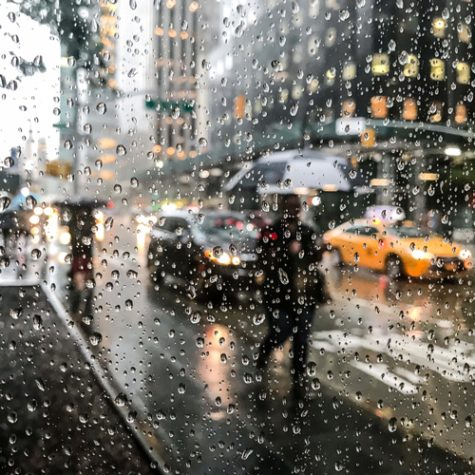 rainy-day rainy-day