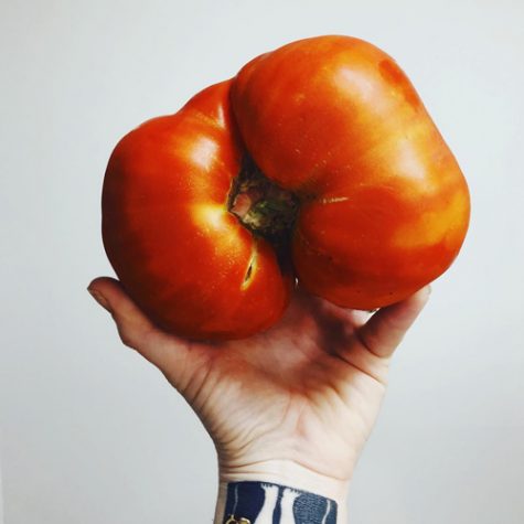 summer-foraging-heirloom-kithcen summer-foraging-heirloom-kithcen