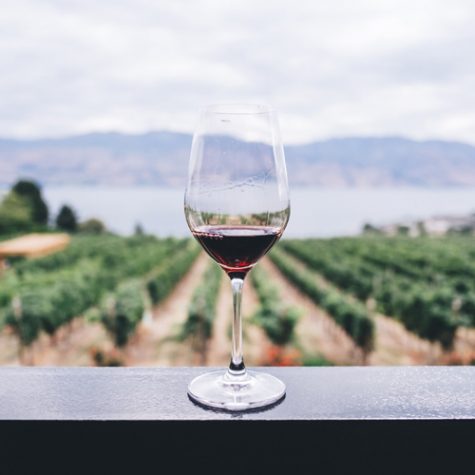 best-french-wine-regions best-french-wine-regions