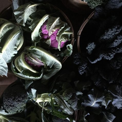 brassicas-class brassicas-class