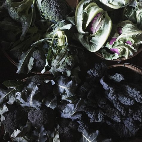 spring-brassicas spring-brassicas
